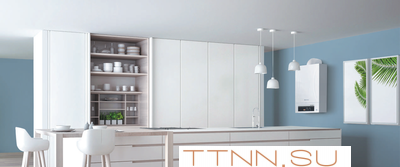 Настенный газовый котел Thermex Andromeda HM24 Настенный газовый котел Thermex Andromeda HM24