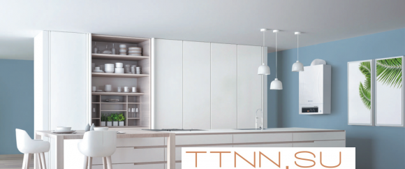 Настенный газовый котел Thermex Andromeda HM24 Настенный газовый котел Thermex Andromeda HM24