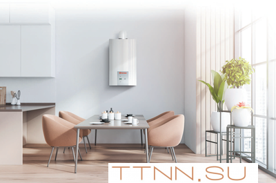 Настенный газовый котел Thermex EuroElite F20 Настенный газовый котел Thermex EuroElite F20