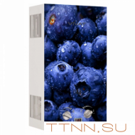 Газовая колонка VIVAT GLS 20-10 L NG с картинкой (Черника) автоподжиг 10 л/мин Газовая колонка VIVAT GLS 20-10 L NG с картинкой (Черника) автоподжиг 10 л/мин